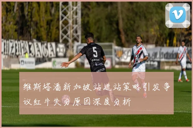 维斯塔潘新加坡站进站策略引发争议红牛失分原因深度分析