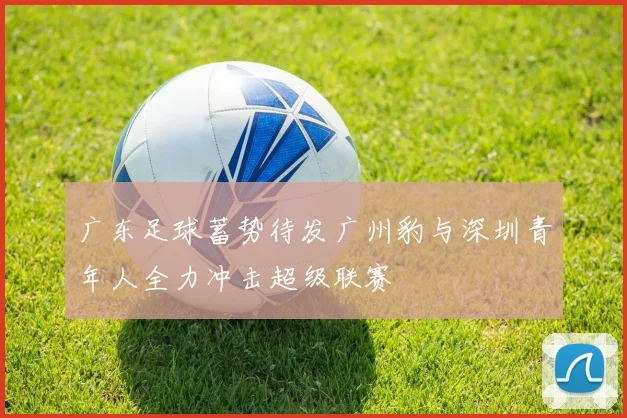 广东足球蓄势待发广州豹与深圳青年人全力冲击超级联赛