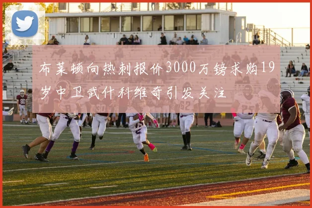 布莱顿向热刺报价3000万镑求购19岁中卫武什科维奇引发关注