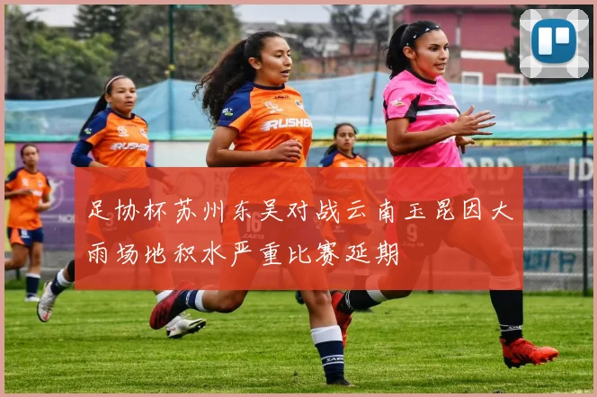 足协杯苏州东吴对战云南玉昆因大雨场地积水严重比赛延期
